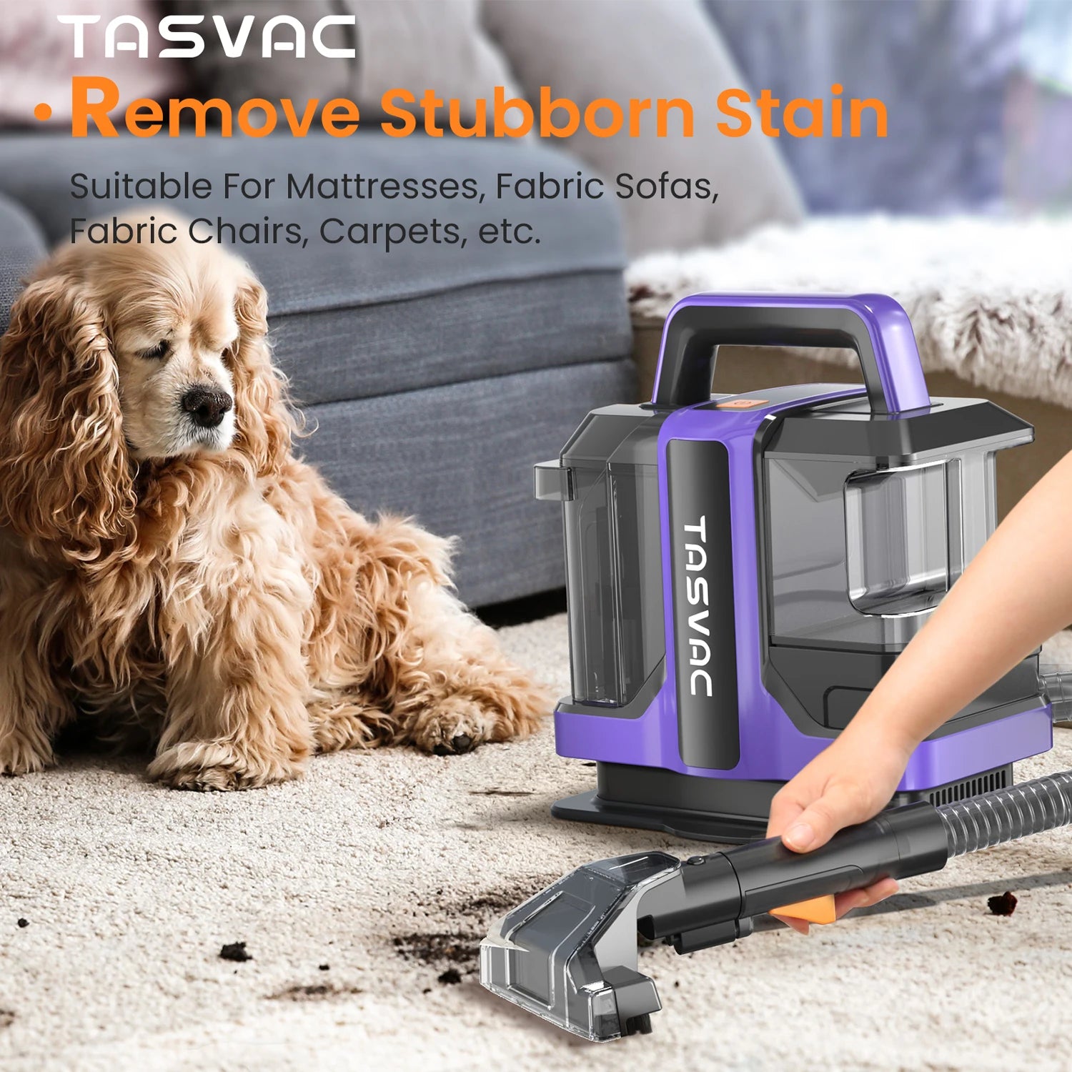 Portable Carpet & Upholstery Cleaner Machine for Pets, Stairs, Couch Area Rugs, Upholstery, Car Seat