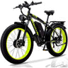 1000W Electric Bike for Adults